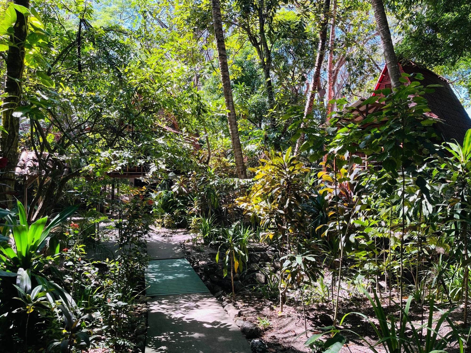 Calala Lodge Cabuya  Exterior photo