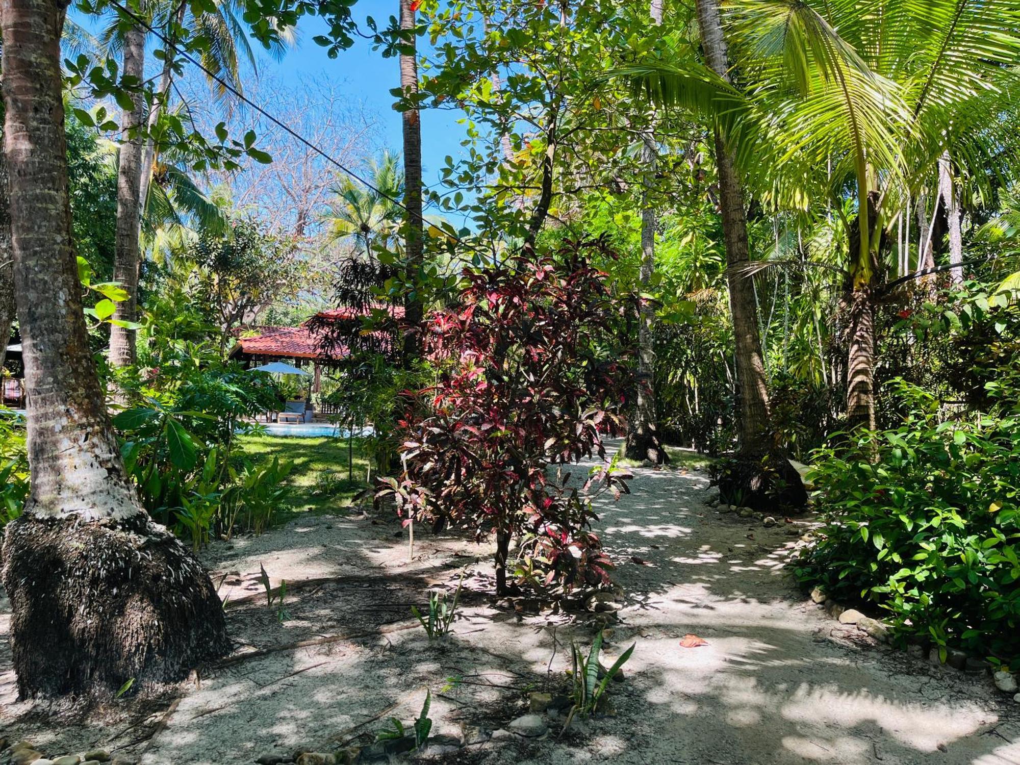 Calala Lodge Cabuya  Exterior photo