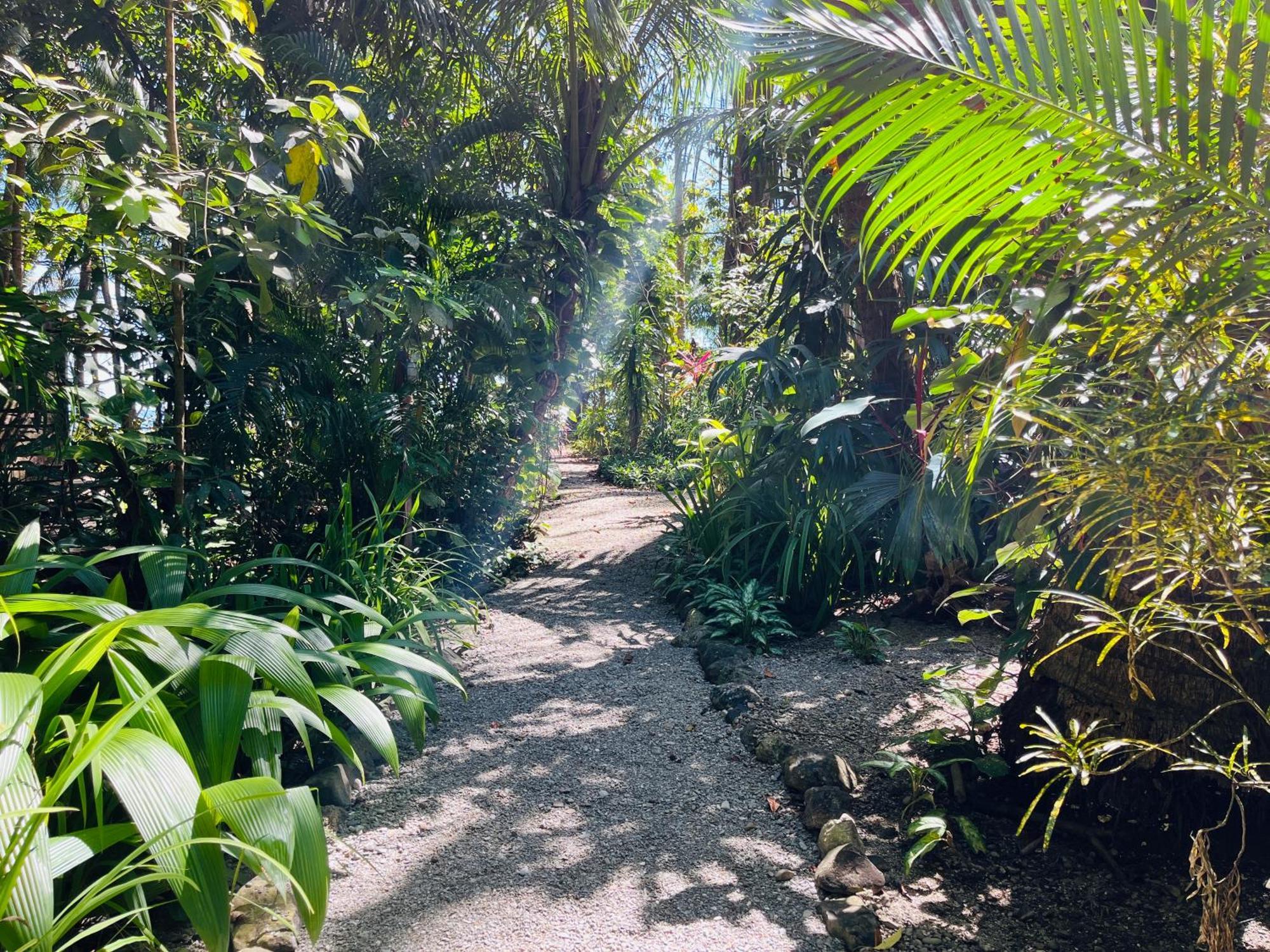Calala Lodge Cabuya  Exterior photo