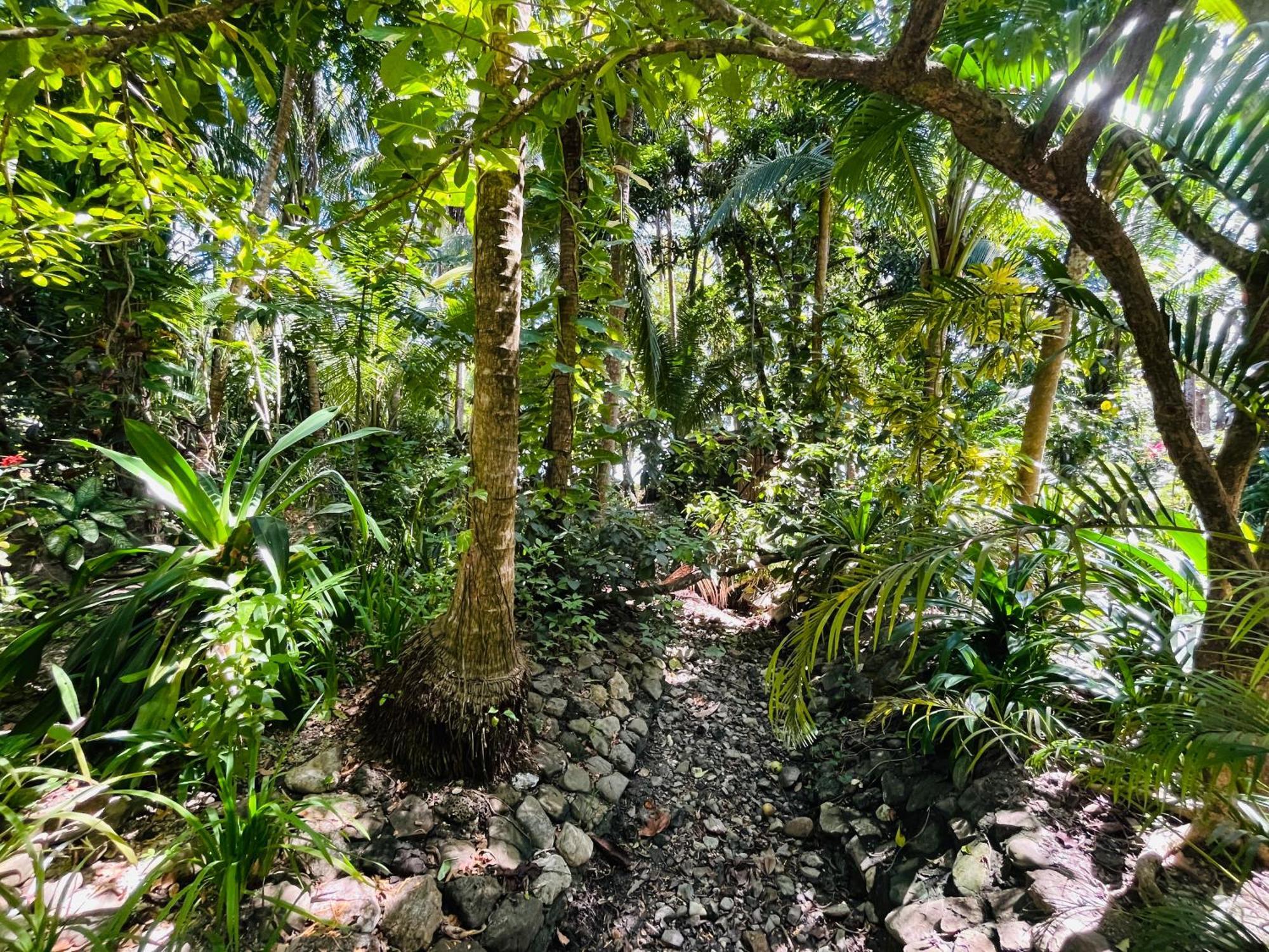 Calala Lodge Cabuya  Exterior photo