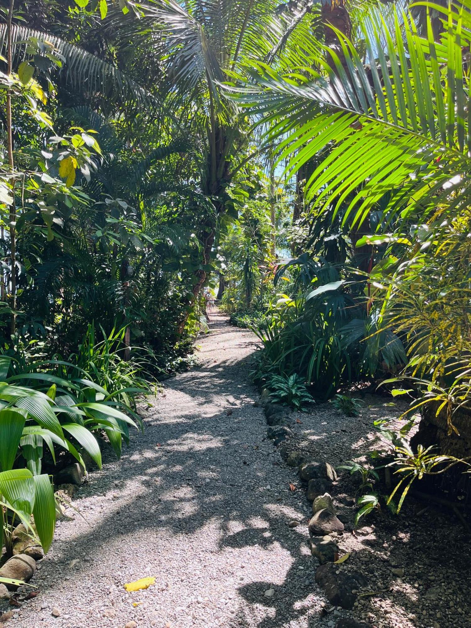Calala Lodge Cabuya  Exterior photo